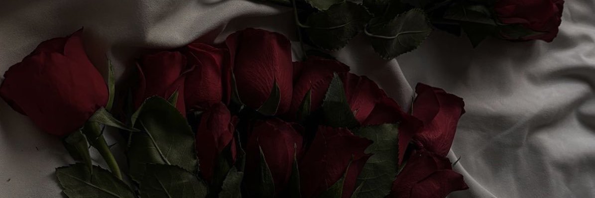 ᴿᵘᵇʸ's banner