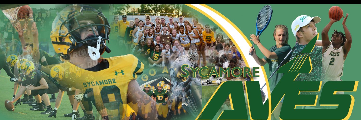Sycamore Aviators's banner