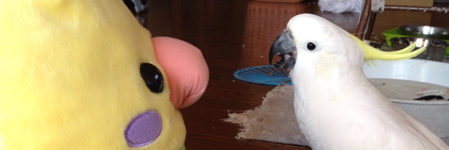 まひろ(•‚ꀎ‚•)'s banner