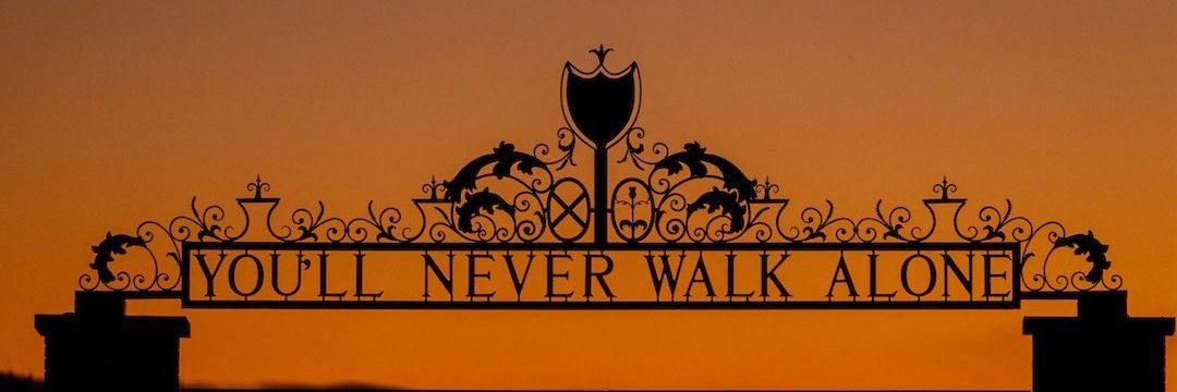 FeverChills🥴's banner