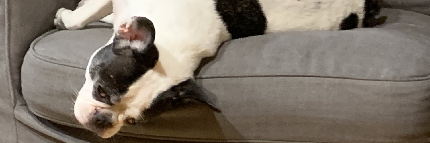 げんタロ🐶's banner