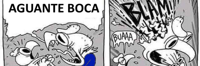 Invencible de Bokita 🇸🇪's banner