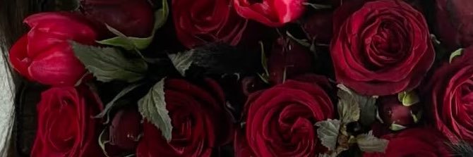 طرفه - TARFAH 🥀's banner