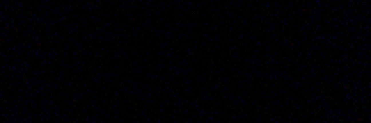 nut's banner