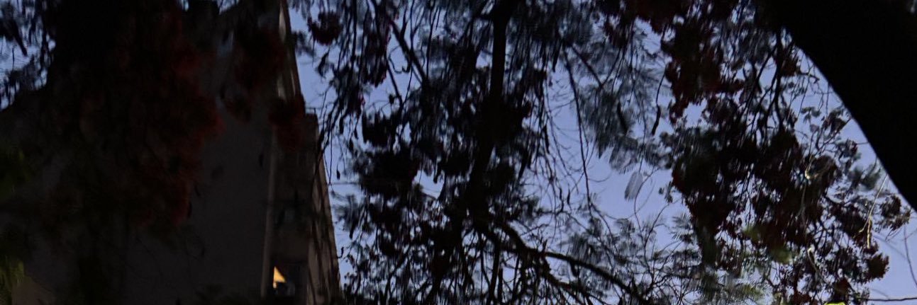 the girl in the missing room's banner