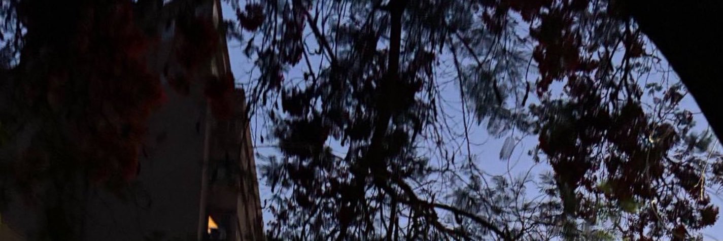 the girl in the missing room's banner