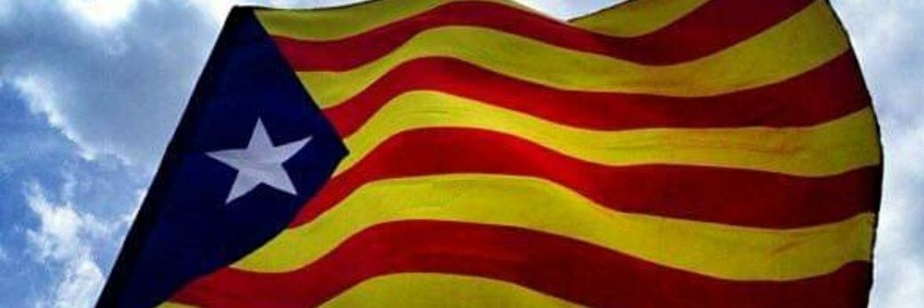 Pere Puntí's banner