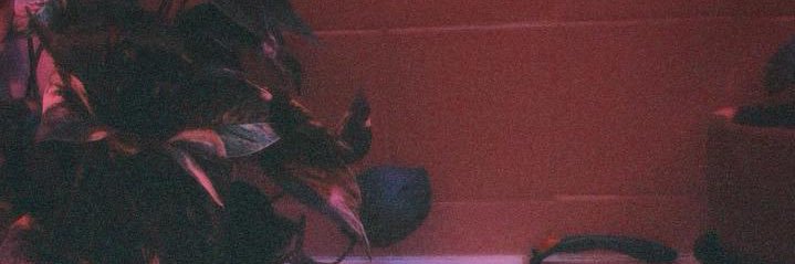 dessamore 🍄☁️'s banner