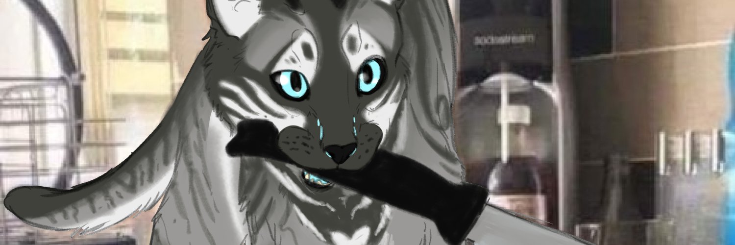 Arcane Cat's banner