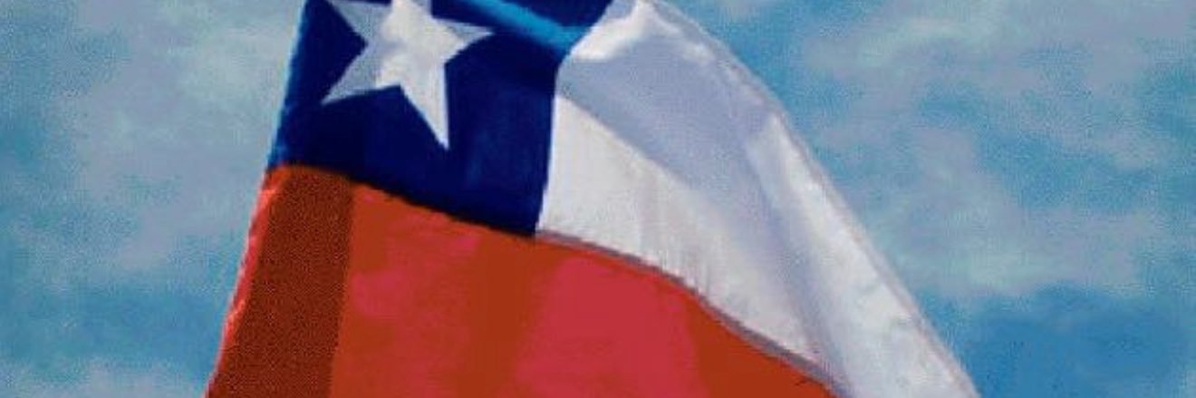 Partido del Orden 🇨🇱's banner