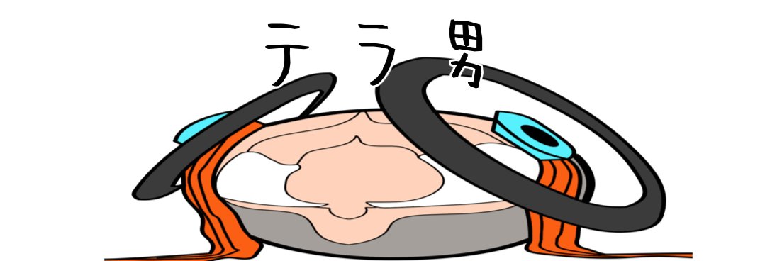 テラ男's banner