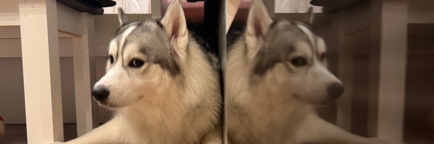 コハクヌシ's banner