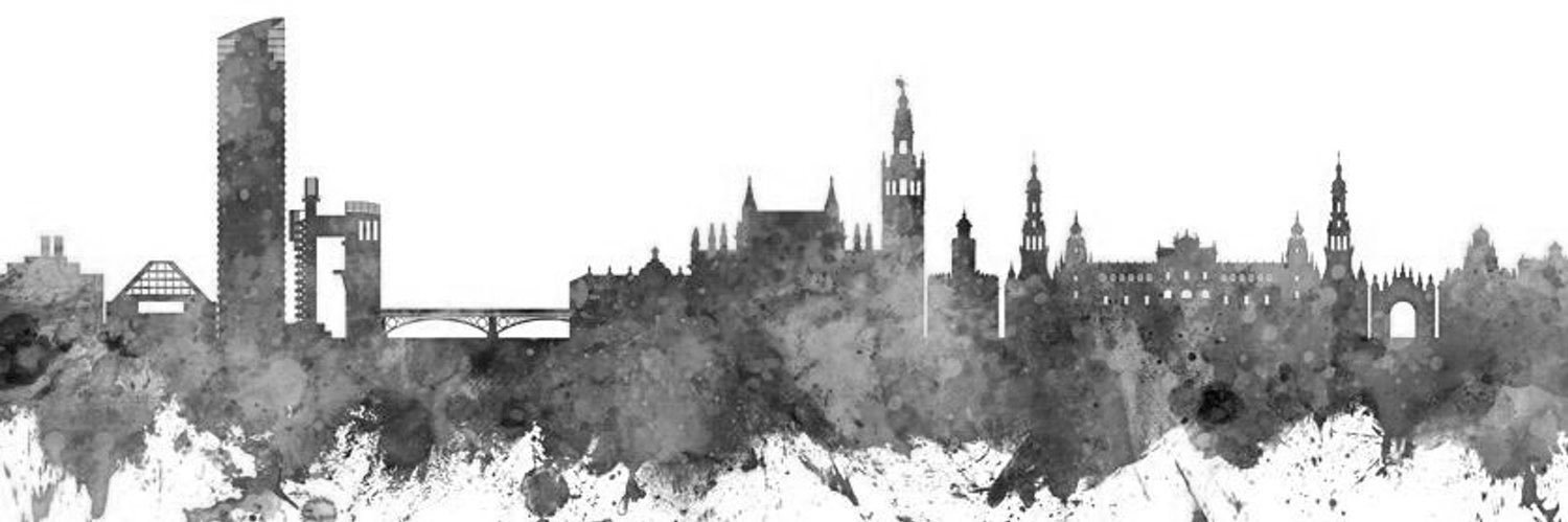 Sebas Gallardo's banner