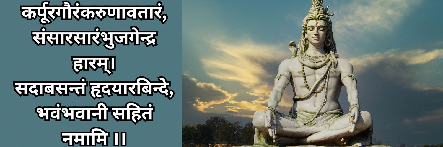 Rajeev Desai's banner