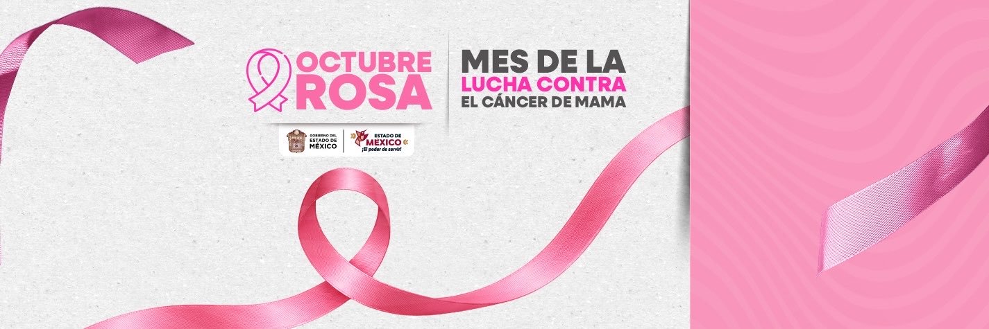 Delfina Gómez A.'s banner