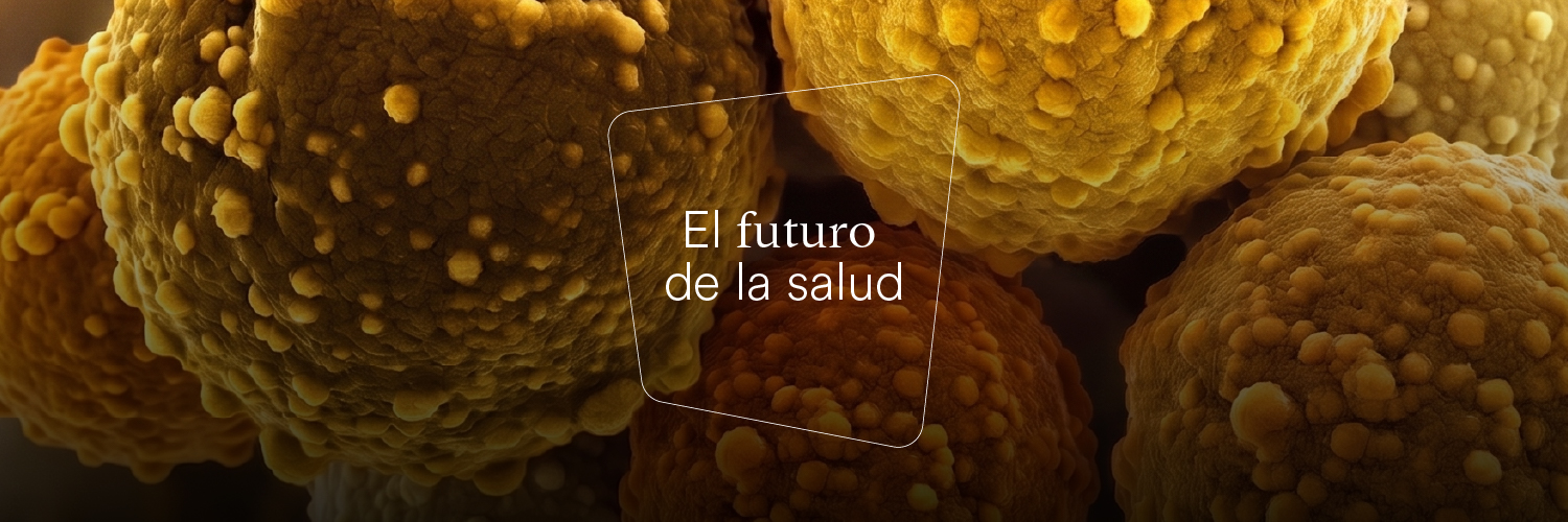 CaixaResearch's banner