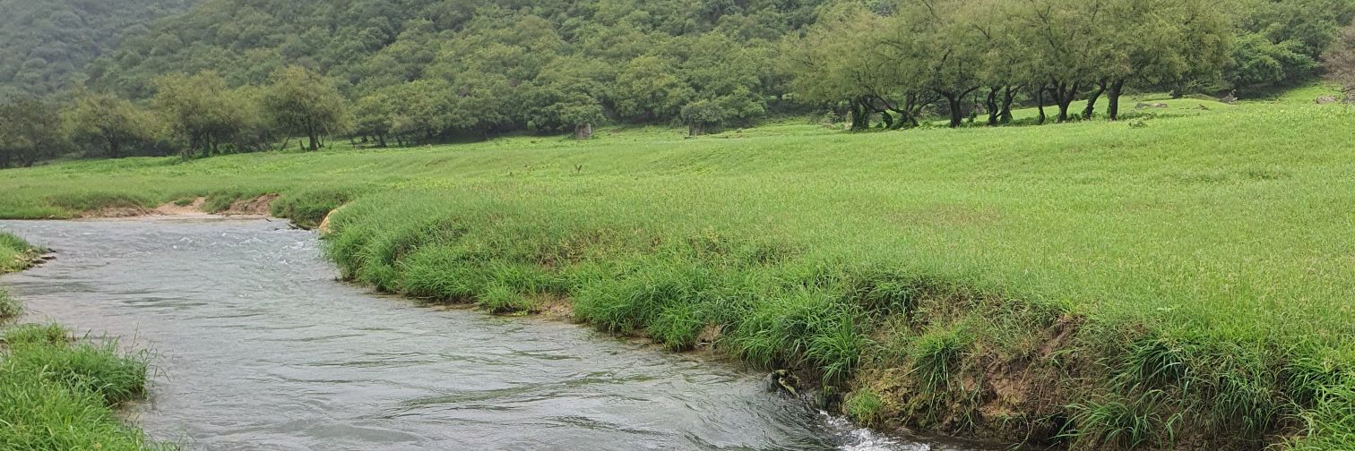 سعيد المعشني's banner