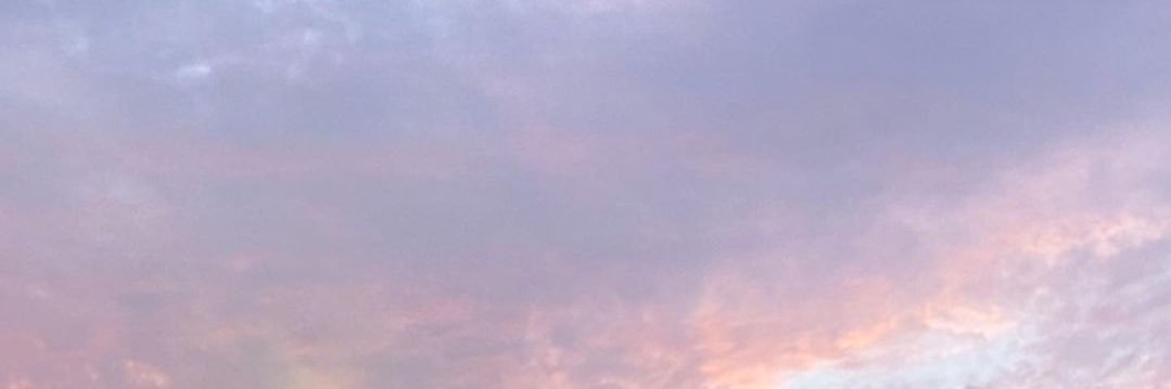 ʚ🧸 셔누방 🧸ɞ's banner