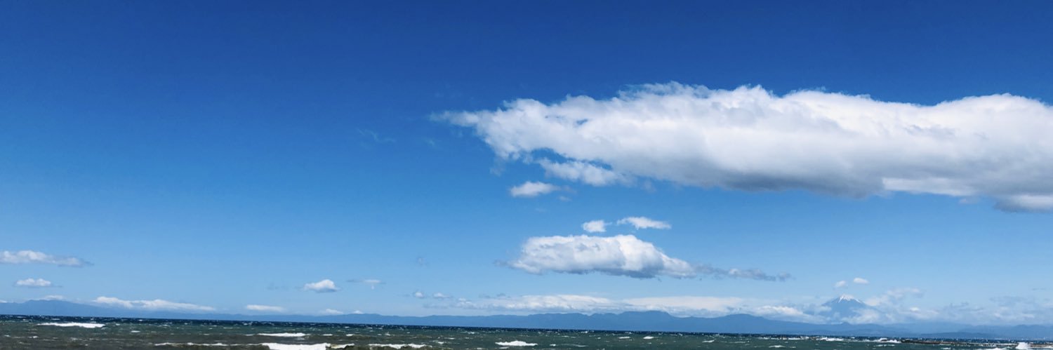 see's banner