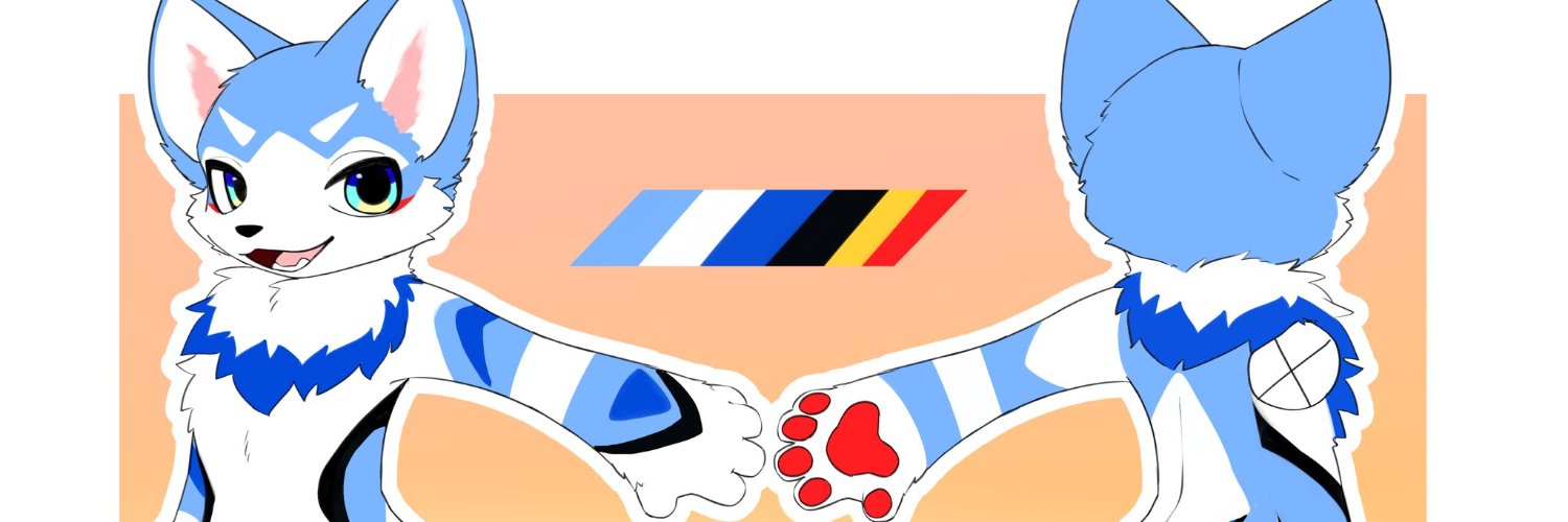 N/SOLO's banner