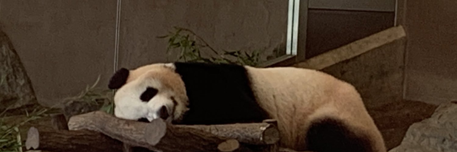 J's banner