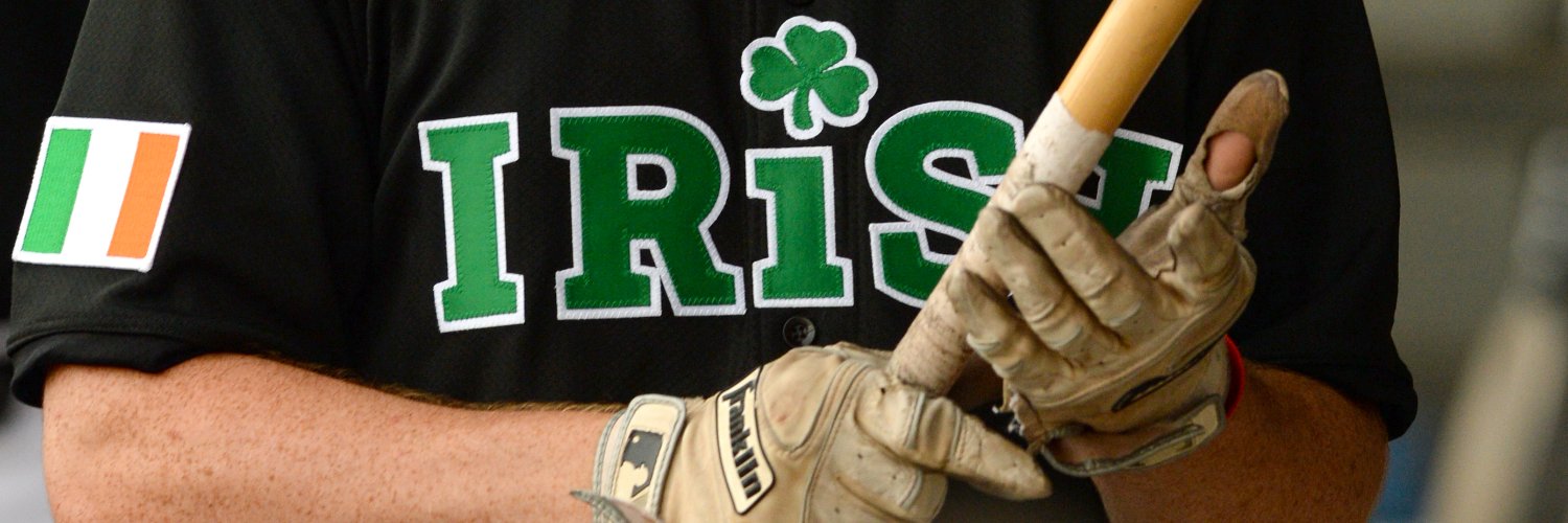Irish American Baseball Society's banner