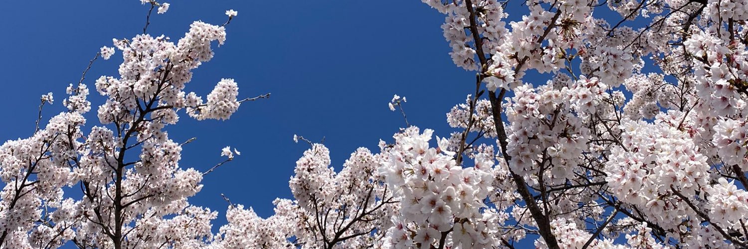 細川の御隠居's banner