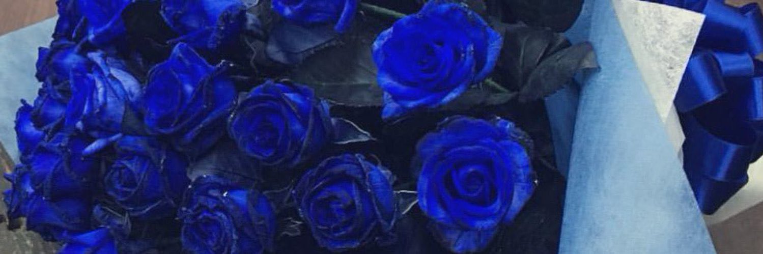 xGently's banner