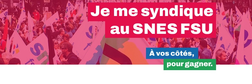 SNES-FSU's banner