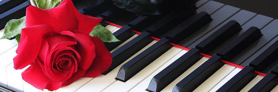 ムックهنتاي 48's banner