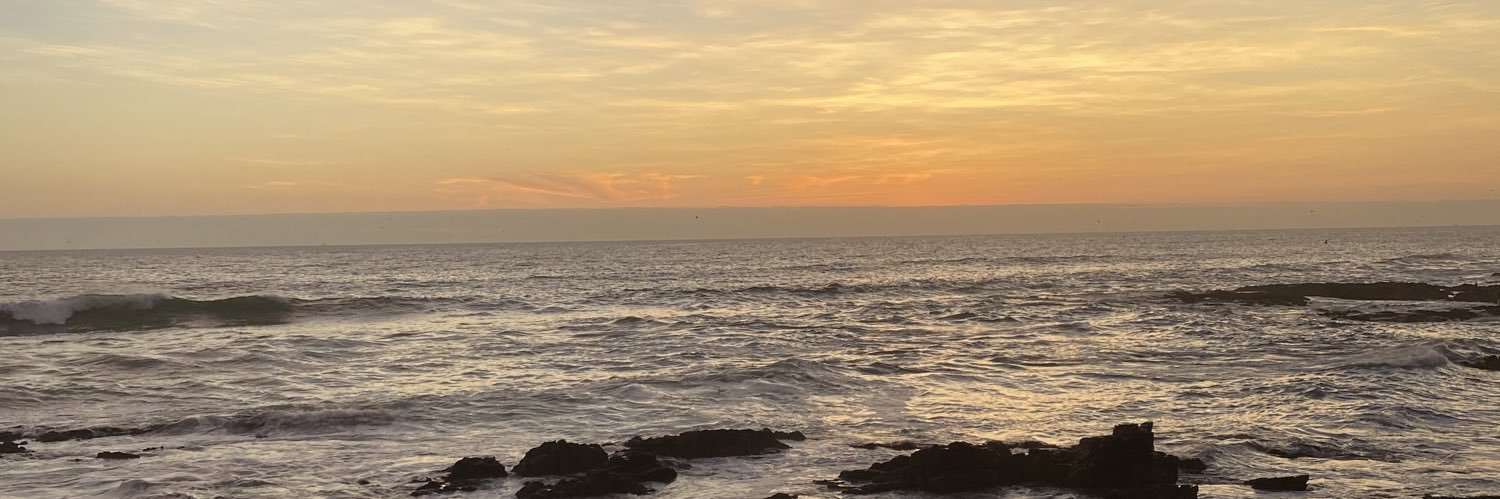 𝓒𝓪𝓻𝓲𝓽𝓸🌸's banner