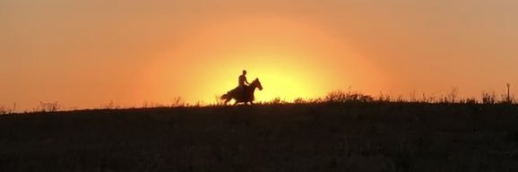 Bertagiu 🐎🦜🐠🏍's banner