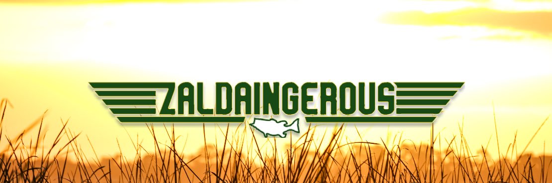 Chris Zaldain's banner