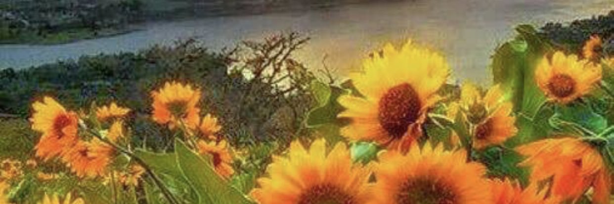 Abdullah Ahmed's banner