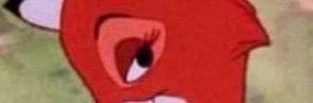 🦋's banner