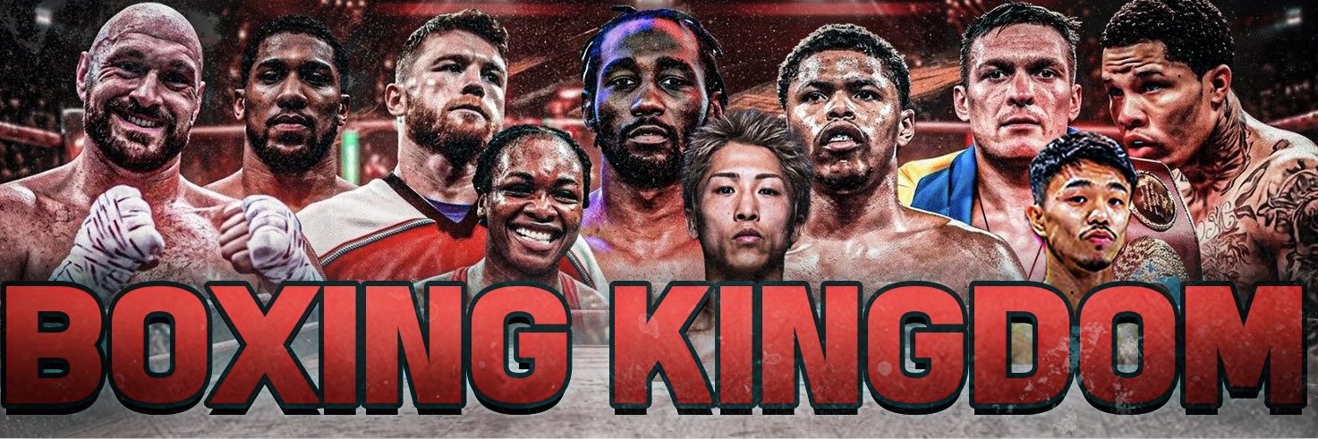 Boxing Kingdom's banner