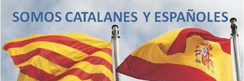 Convivencia Civica Catalana's banner