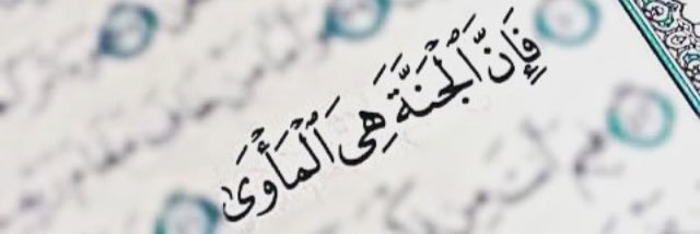 ابن قاسيون's banner