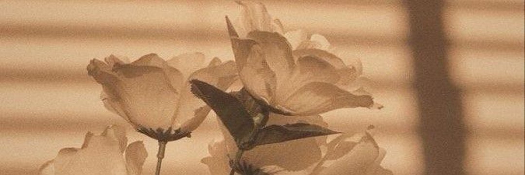 Jessica's banner