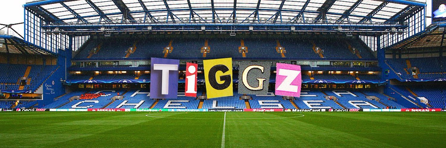 TIGGZ's banner