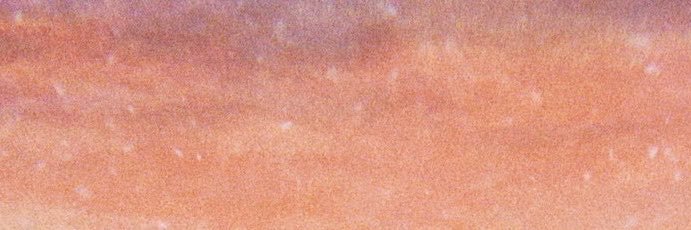 tyde's banner