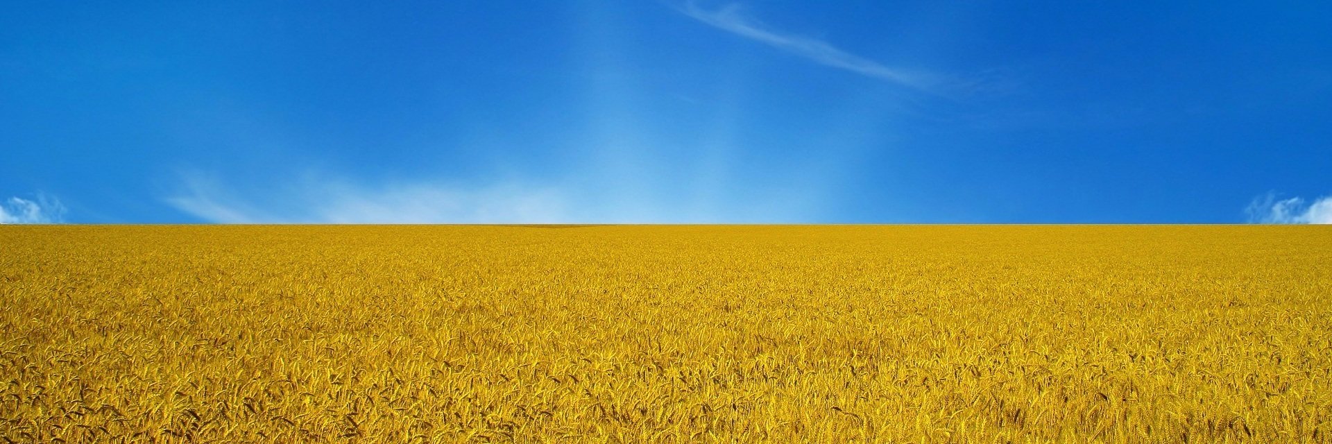 Іван Козаk UA's banner