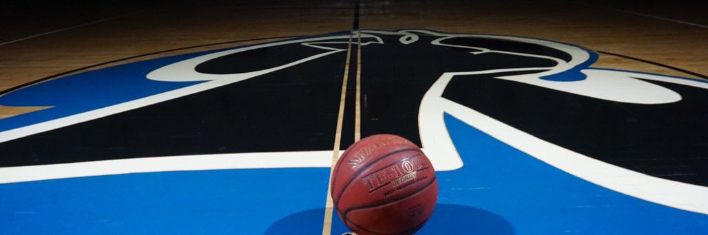 Lamar CC Basketball's banner