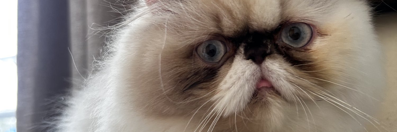 cattrovert🌕's banner