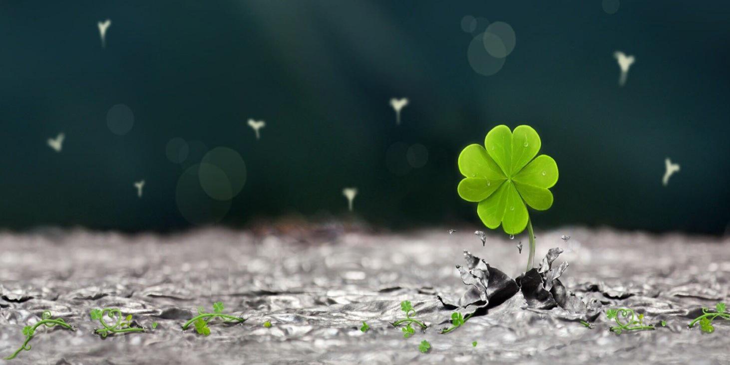 PYX 🍀🍦☔️'s banner