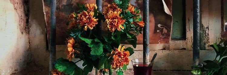 :🌿أروى.'s banner