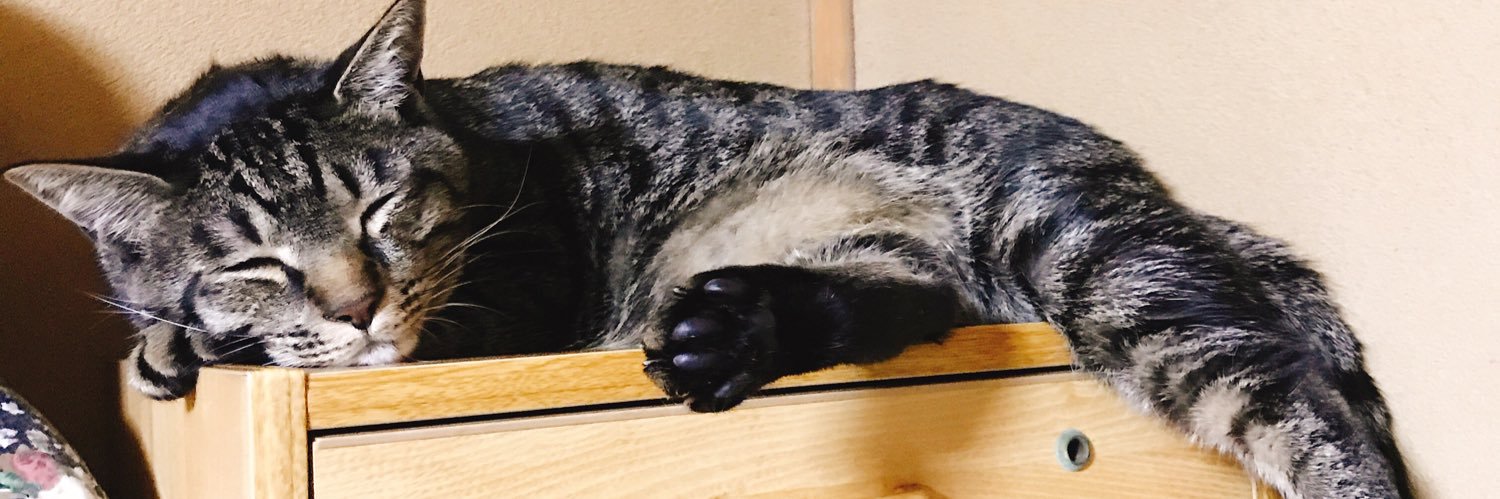 まっつん's banner
