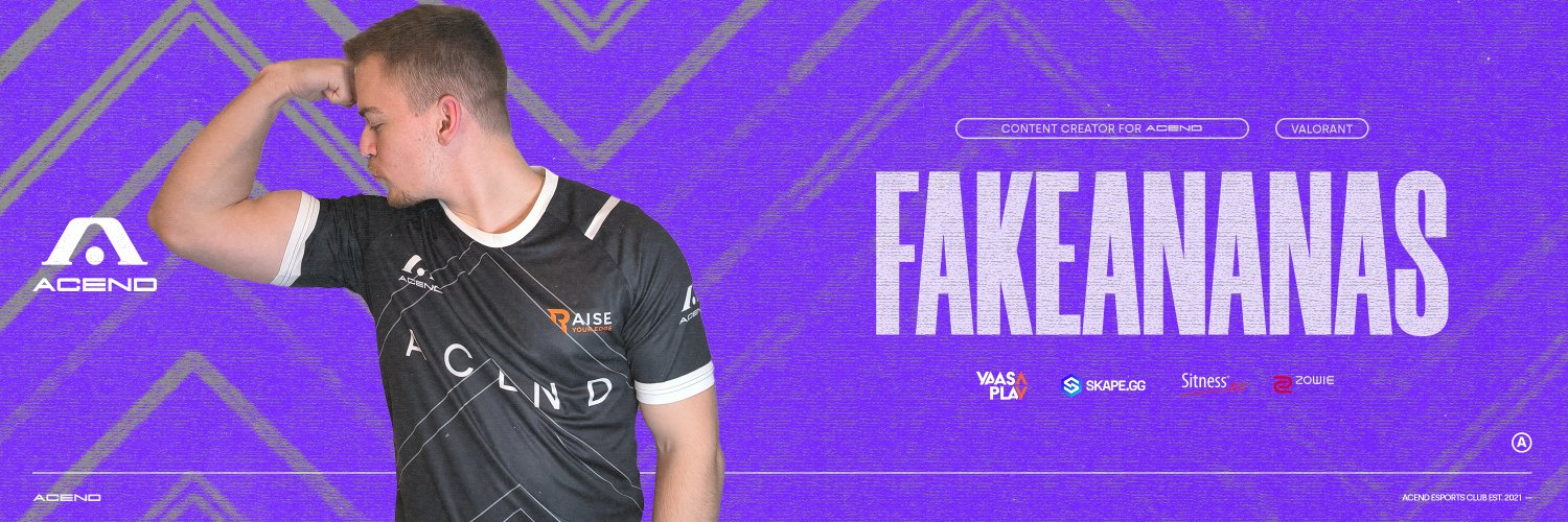 FakeAnanas's banner