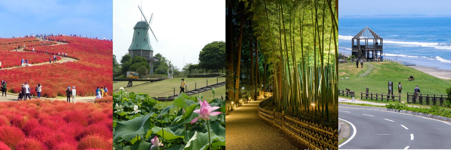 いばらきの公園's banner