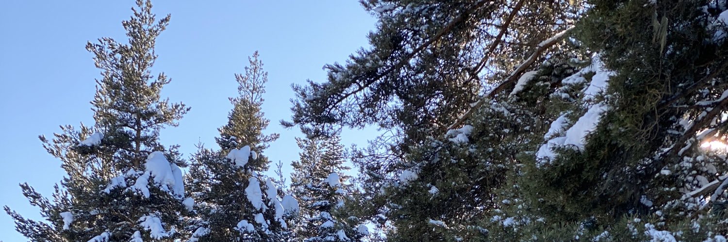 MUHAMMED RAĞIB ELHÜSEYNİ's banner